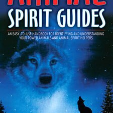 Animal Spirit Guides