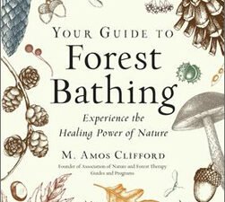 Your Guide To Forest Bathing, Expanded Edition