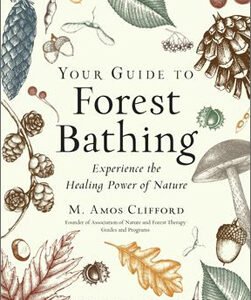 Your Guide To Forest Bathing, Expanded Edition