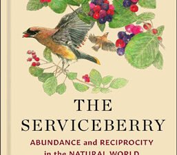 Book cover of "Abundance and Reciprocity in the Natural World" by Robin Wall Kimmerer. The design features natural elements, possibly serviceberries or other plants, reflecting themes of interconnectedness, reciprocity, and Indigenous wisdom.