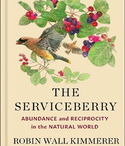 Book cover of "Abundance and Reciprocity in the Natural World" by Robin Wall Kimmerer. The design features natural elements, possibly serviceberries or other plants, reflecting themes of interconnectedness, reciprocity, and Indigenous wisdom.