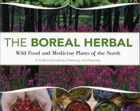 The Boreal Herbal Book – Foraging, Wild Food & Natural Medicine Guide