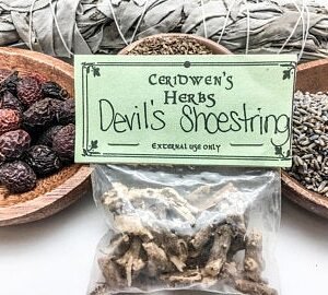Devil's Shoestring Herb Packet - Protection, Gambling