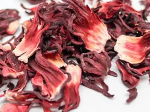 Hibiscus Flowers