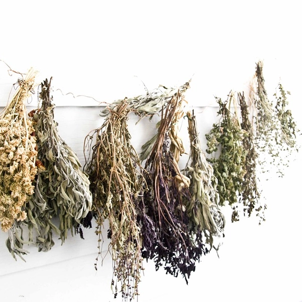 High John Herb Packet - Love, Money, Happiness, Success - Image 2