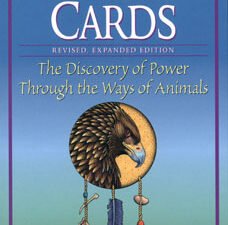 Medicine Cards (Deck & Book Set - Revised) – A powerful divination system featuring animal wisdom to guide you in healing the body, mind, emotions, and spirit, now with 8 additional cards and a 240-page guidebook. 🌿✨