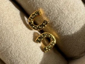 Mini Horseshoe Studs