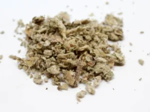 Mullein