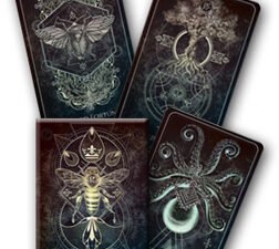 Talisman Oracle Deck – A 44-card set with black gilded edges, sacred geometry, and magical sigils, accompanied by vellum tracing paper and a guidebook for creating personalized talismans to amplify your intentions. ✨