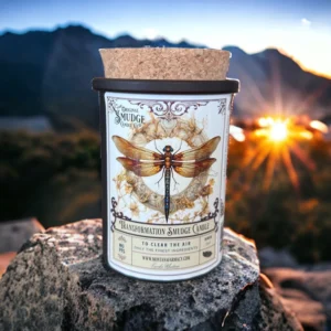 Transformation Dragonfly  Orig Smudge Candle Space Clearing