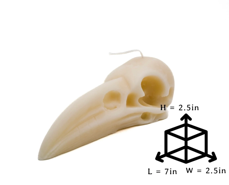 Large Raven Skull Candle | Pillar - Image 3