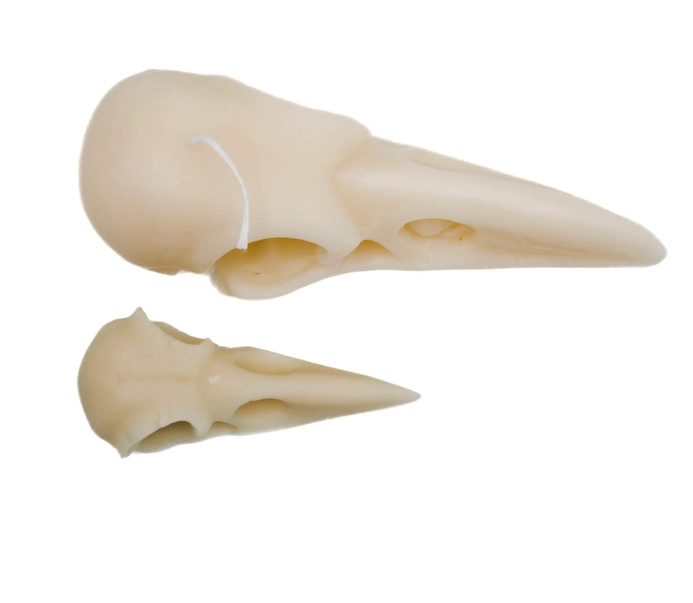 Large Raven Skull Candle | Pillar - Image 4