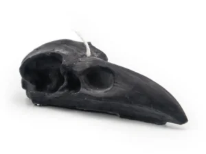 Raven Skull Candle | Pillar