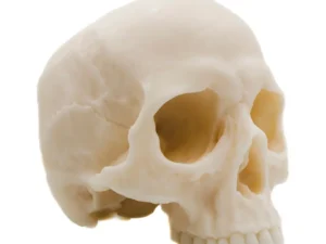 Half Skull | Pillar Candle