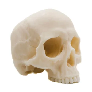 Half Skull | Pillar Candle