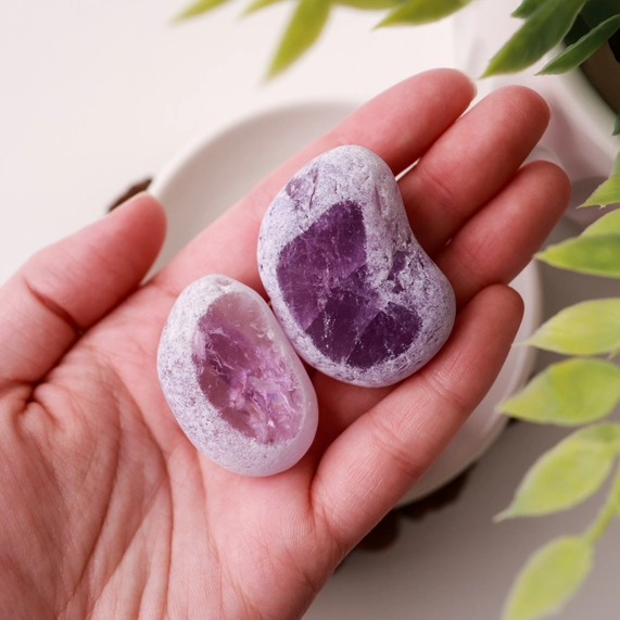 Amethyst Ema Eggs (Pack of 10) - Image 4