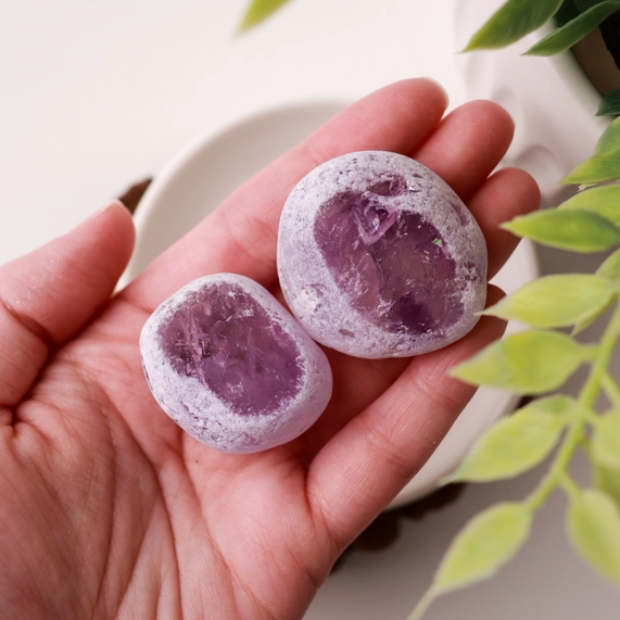 Amethyst Ema Eggs (Pack of 10) - Image 5