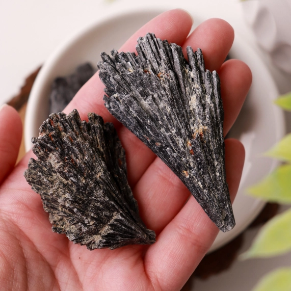 Black Kyanite Crystals (Pack of 10) - Image 3